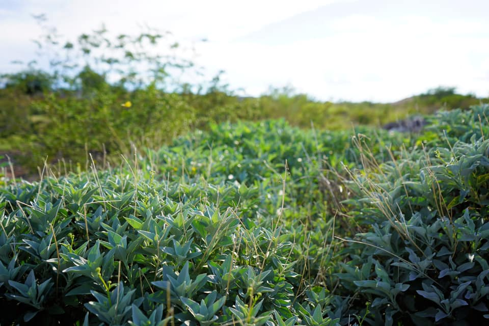 My Spiritual Journey: From Doubt to Faith