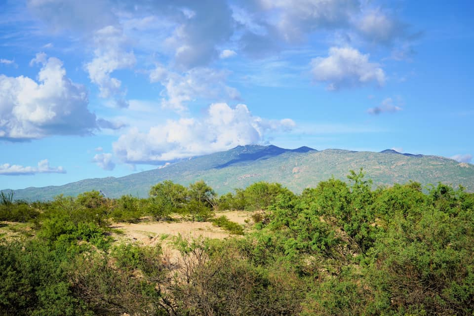 Embracing Our Humble Beginning: A Journey of Faith and Family