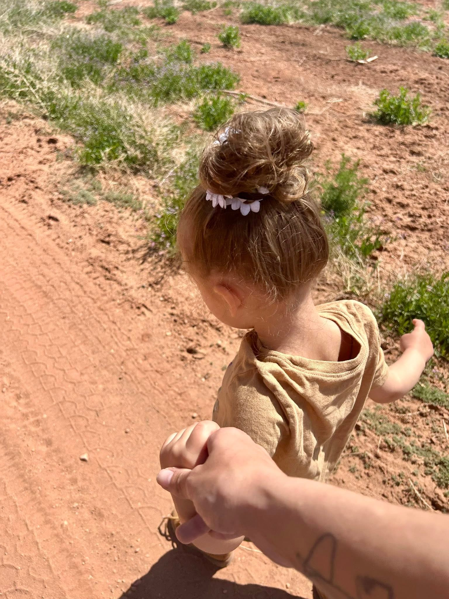 Finding Peace on the Pahvant: A Hike Through Richfield’s Hidden Gem